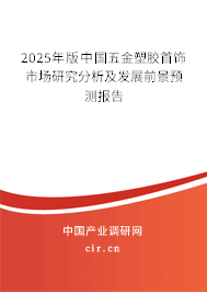 2025年版中國五金塑膠首飾市場研究分析及發(fā)展前景預(yù)測報告