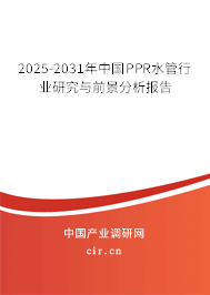 2025-2031年中國PPR水管行業(yè)研究與前景分析報告
