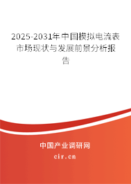 2025-2031年中國(guó)模擬電流表市場(chǎng)現(xiàn)狀與發(fā)展前景分析報(bào)告