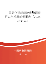 中國氧化鋯燒結爐市場調查研究與發(fā)展前景報告（2025-2031年）