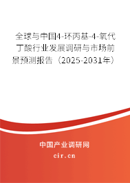 全球與中國4-環(huán)丙基-4-氧代丁酸行業(yè)發(fā)展調(diào)研與市場前景預(yù)測報(bào)告（2025-2031年）
