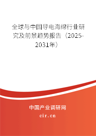 全球與中國導(dǎo)電海綿行業(yè)研究及前景趨勢報告（2025-2031年）