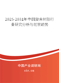 2025-2031年中國復(fù)合樹脂行業(yè)研究分析與前景趨勢