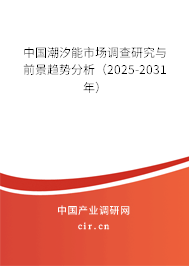 中國潮汐能市場調(diào)查研究與前景趨勢分析（2025-2031年）
