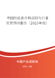 中國熱能表市場調(diào)研與行業(yè)前景預(yù)測報(bào)告（2025年版）