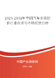 2025-2031年中國汽車金屬配件行業(yè)現(xiàn)狀與市場前景分析
