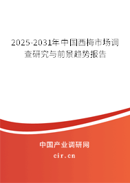 2025-2031年中國西梅市場調(diào)查研究與前景趨勢報告