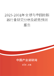 2024-2029年全球與中國拾振器行業(yè)研究分析及趨勢預(yù)測報告