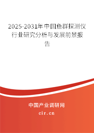 2025-2031年中國魚群探測儀行業(yè)研究分析與發(fā)展前景報告