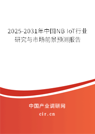 2025-2031年中國NB IoT行業(yè)研究與市場前景預(yù)測報告