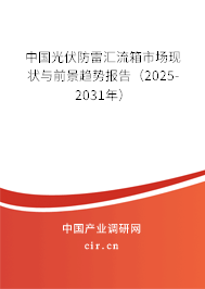 中國(guó)光伏防雷匯流箱市場(chǎng)現(xiàn)狀與前景趨勢(shì)報(bào)告（2025-2031年）