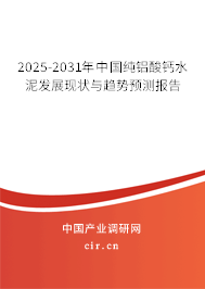2025-2031年中國純鋁酸鈣水泥發(fā)展現(xiàn)狀與趨勢預(yù)測報告