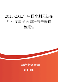2025-2031年中國水刺無紡布行業(yè)發(fā)展全面調(diào)研與未來趨勢報告