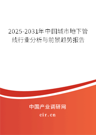 2024-2030年中國(guó)城市地下管線行業(yè)分析與前景趨勢(shì)報(bào)告