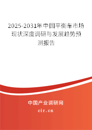 2025-2031年中國平衡車市場現(xiàn)狀深度調(diào)研與發(fā)展趨勢預(yù)測報告