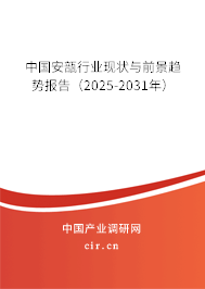 中國(guó)安瓿行業(yè)現(xiàn)狀與前景趨勢(shì)報(bào)告（2025-2031年）