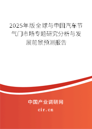 2025年版全球與中國汽車節(jié)氣門市場專題研究分析與發(fā)展前景預測報告