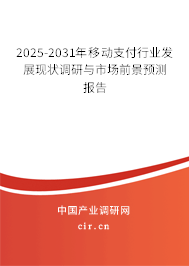 2025-2031年移動支付行業(yè)發(fā)展現(xiàn)狀調(diào)研與市場前景預(yù)測報告
