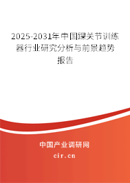 2025-2031年中國踝關(guān)節(jié)訓(xùn)練器行業(yè)研究分析與前景趨勢報告