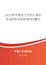 2025年中國(guó)電子商務(wù)行業(yè)現(xiàn)狀調(diào)研及發(fā)展趨勢(shì)預(yù)測(cè)報(bào)告