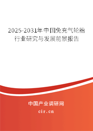 2025-2031年中國(guó)免充氣輪胎行業(yè)研究與發(fā)展前景報(bào)告