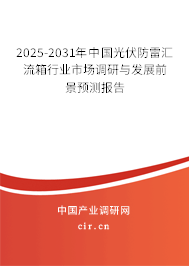 2025-2031年中國光伏防雷匯流箱行業(yè)市場調(diào)研與發(fā)展前景預測報告