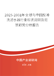 2025-2031年全球與中國(guó)反沖洗濾水器行業(yè)現(xiàn)狀調(diào)研及前景趨勢(shì)分析報(bào)告
