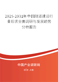 2024-2030年中國(guó)隧道建設(shè)行業(yè)現(xiàn)狀全面調(diào)研與發(fā)展趨勢(shì)分析報(bào)告