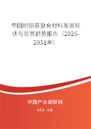 中國樹脂基復(fù)合材料發(fā)展現(xiàn)狀與前景趨勢報告（2025-2031年）