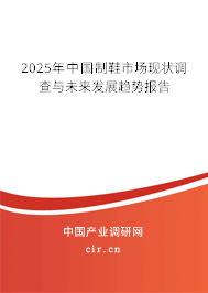 2025年中國制鞋市場現(xiàn)狀調(diào)查與未來發(fā)展趨勢報(bào)告