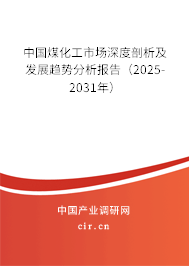 中國煤化工市場深度剖析及發(fā)展趨勢分析報告（2025-2031年）
