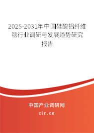 2024-2030年中國硅酸鋁纖維毯行業(yè)調(diào)研與發(fā)展趨勢研究報告