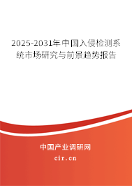 2025-2031年中國入侵檢測系統(tǒng)市場研究與前景趨勢報(bào)告