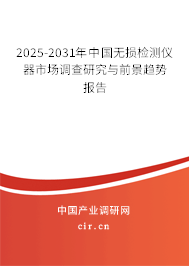 2025-2031年中國無損檢測儀器市場調查研究與前景趨勢報告