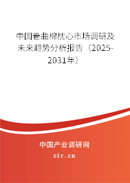 中國卷曲棉枕心市場調(diào)研及未來趨勢分析報告（2025-2031年）
