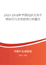 2025-2031年中國光伏瓦片市場研究與前景趨勢分析報(bào)告