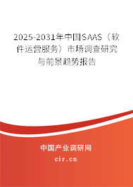 2025-2031年中國SAAS（軟件運營服務）市場調查研究與前景趨勢報告