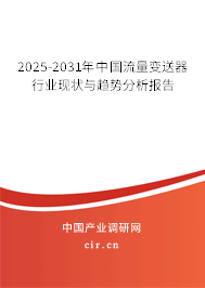 2025-2031年中國流量變送器行業(yè)現(xiàn)狀與趨勢分析報告