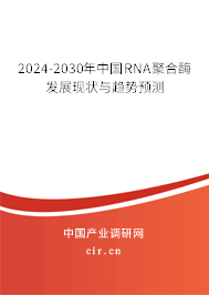 2024-2030年中國RNA聚合酶發(fā)展現(xiàn)狀與趨勢(shì)預(yù)測(cè)