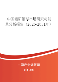 中國鉛礦鋼球市場研究與前景分析報告（2025-2031年）