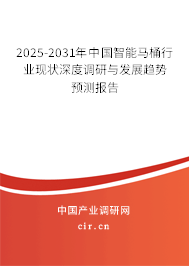 2024-2030年中國(guó)智能馬桶行業(yè)現(xiàn)狀深度調(diào)研與發(fā)展趨勢(shì)預(yù)測(cè)報(bào)告
