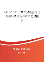 2025-2031年中國(guó)風(fēng)電蓄電池發(fā)展現(xiàn)狀分析與市場(chǎng)前景報(bào)告