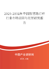 2025-2031年中國(guó)智慧路燈桿行業(yè)市場(chǎng)調(diào)研與前景趨勢(shì)報(bào)告