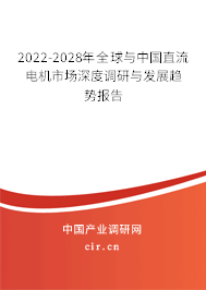 2022-2028年全球與中國(guó)直流電機(jī)市場(chǎng)深度調(diào)研與發(fā)展趨勢(shì)報(bào)告