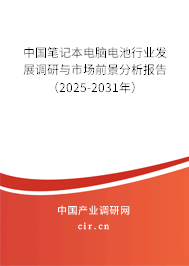 中國(guó)筆記本電腦電池行業(yè)發(fā)展調(diào)研與市場(chǎng)前景分析報(bào)告（2025-2031年）