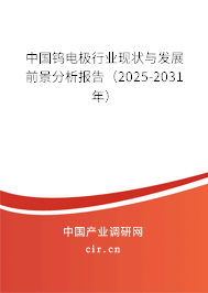 中國鎢電極行業(yè)現(xiàn)狀與發(fā)展前景分析報告（2025-2031年）