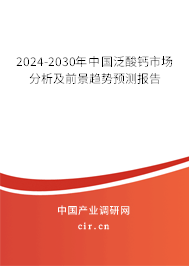 2024-2030年中國泛酸鈣市場分析及前景趨勢預測報告