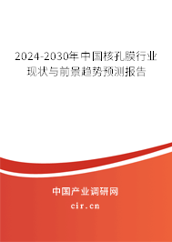 2024-2030年中國核孔膜行業(yè)現狀與前景趨勢預測報告
