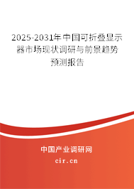 2025-2031年中國(guó)可折疊顯示器市場(chǎng)現(xiàn)狀調(diào)研與前景趨勢(shì)預(yù)測(cè)報(bào)告