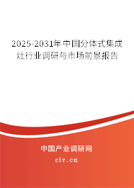 2025-2031年中國(guó)分體式集成灶行業(yè)調(diào)研與市場(chǎng)前景報(bào)告